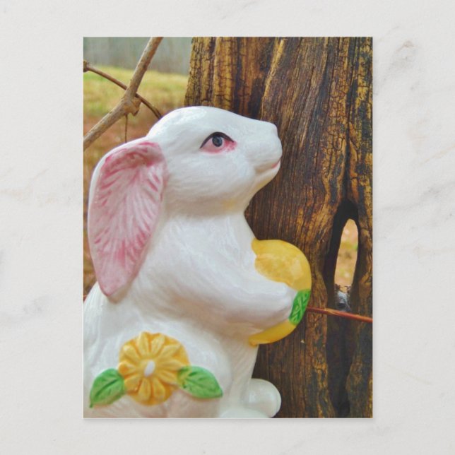 Postal Festiva Bunny de Pascua (Anverso)