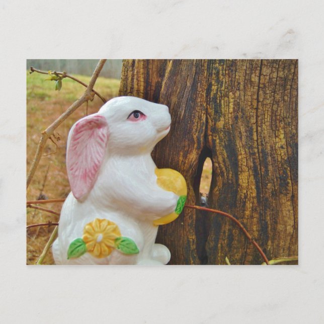 Postal Festiva Bunny de Pascua (Anverso)