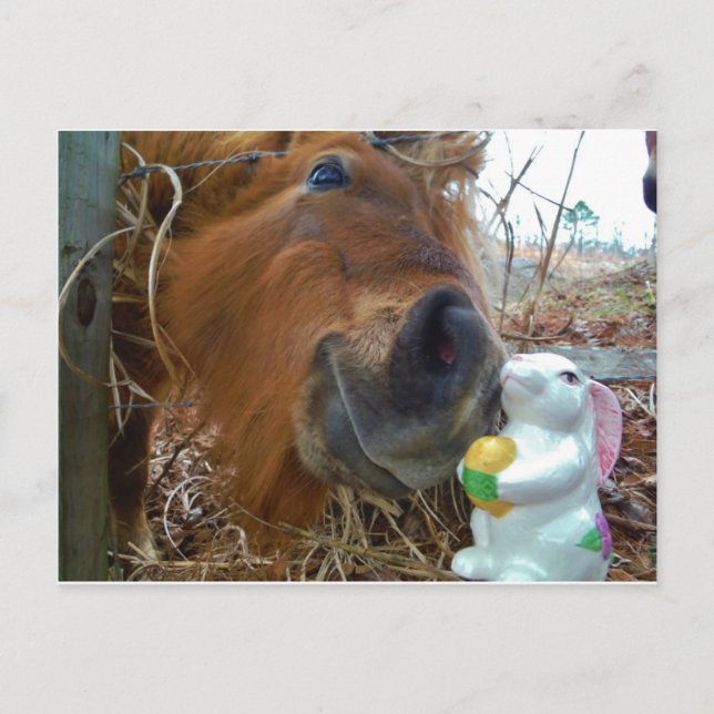 Postal Festiva Bunny de Pascua y caballo marrón (Anverso)