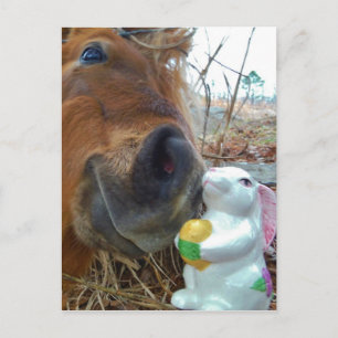 Postal Festiva Caballo del conejito y de Brown de pascua