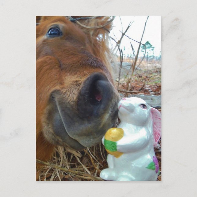 Postal Festiva Caballo del conejito y de Brown de pascua (Anverso)