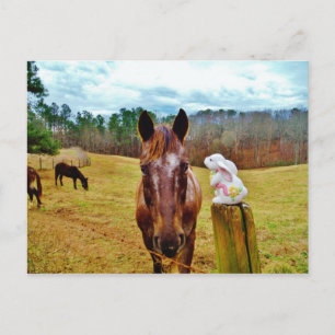 Postal Festiva Caballo del conejito y de Brown de pascua