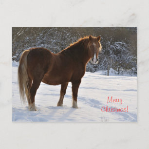 Postal Festiva Caballo en Navidades de nieve