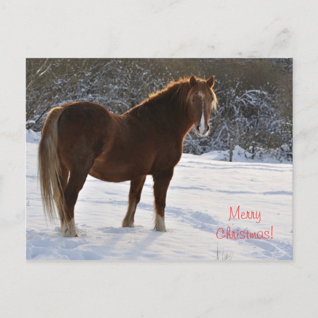 Postal Festiva Caballo en Navidades de nieve (Anverso)