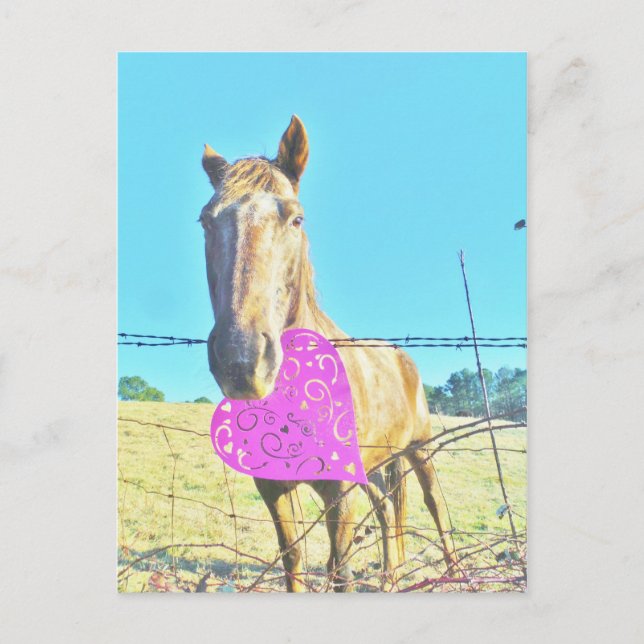 Postal Festiva Caballo San Valentín Rosa y turquesa (Anverso)