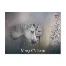 Caballos: Amantes de caballos y Navidades de invie