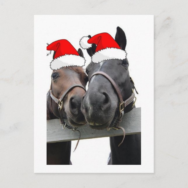 Postal Festiva Caballos de País navidades (Anverso)