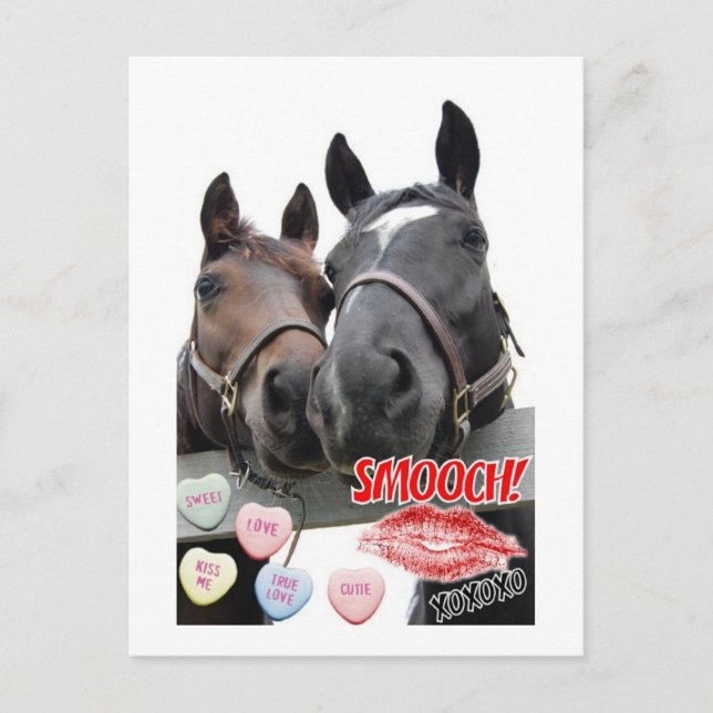 Postal Festiva Caballos el día de San Valentín (Anverso)