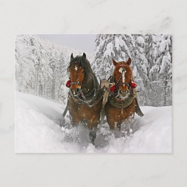 Postal Festiva Caballos navidades (Anverso)