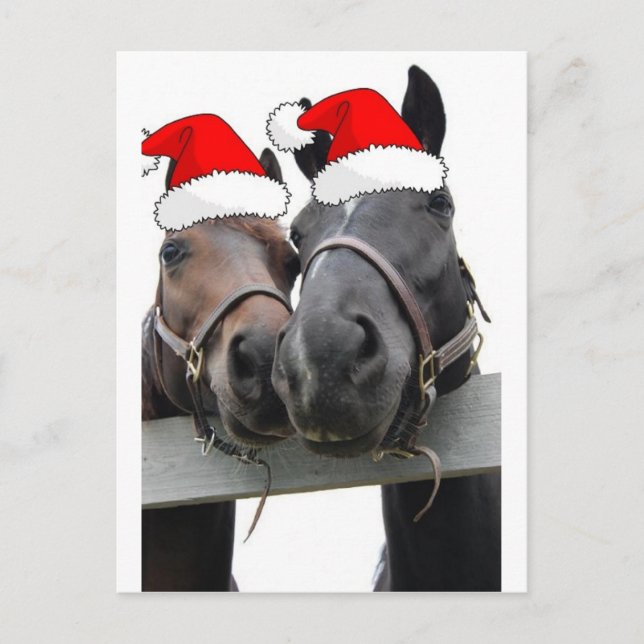 Postal Festiva Caballos navidades (Anverso)