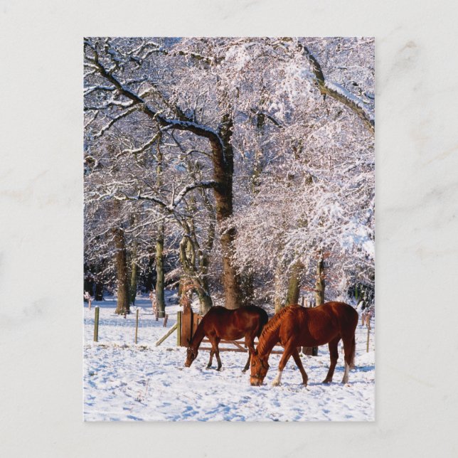 Postal Festiva Caballos tosados en nieve (Anverso)