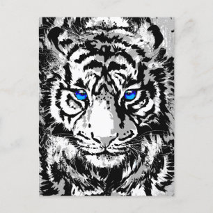 Postal Festiva Cabeza de tigre blanco siberiana - Ojos azules tig
