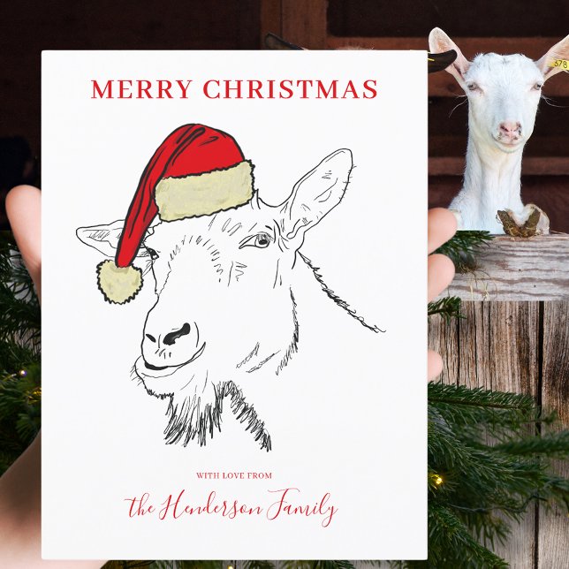 Postal Festiva Cabra usando un presupuesto de ilustracion de Sant (Merry Christmas goat wearing a santa hat custom holiday greetings postcard simple farm animal art)