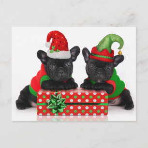 Postal Festiva cachorro de bulldog con regalo de Navidades
