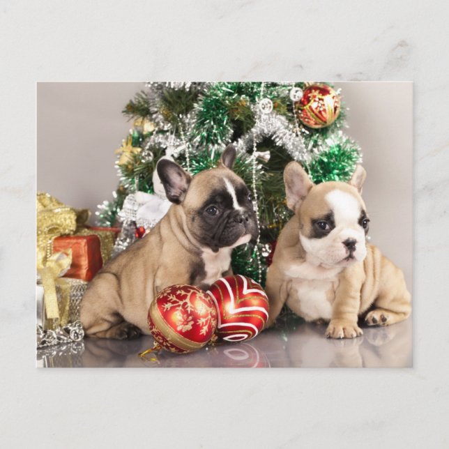 Postal Festiva cachorro de bulldog francés y regalos de Navidades (Anverso)