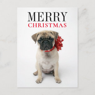 Postal Festiva Cachorro de cachorro con Navidades
