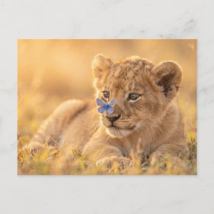 Postal Festiva Cachorro de León Adorable con Mariposa Azul en la