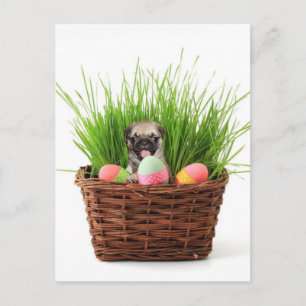 Postal Festiva cachorro de pascua