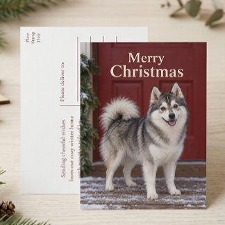 Postal Festiva Cachorro De Pomsky Adorable Amante De Perros Feliz