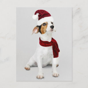 Postal Festiva Cachorro Jack Russell con sombrero de Santa