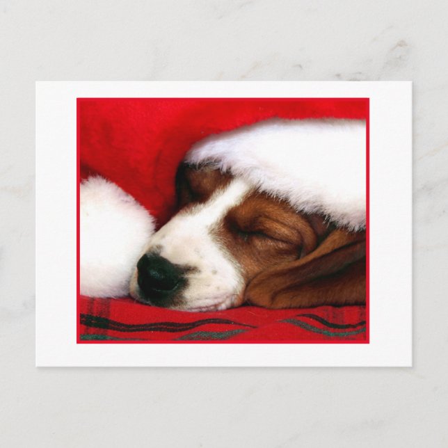 Postal Festiva Cachorro pacífico (Anverso)