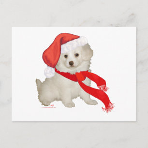 Postal Festiva Cachorro Poodle / Bichon mezcla ayudante de Santa