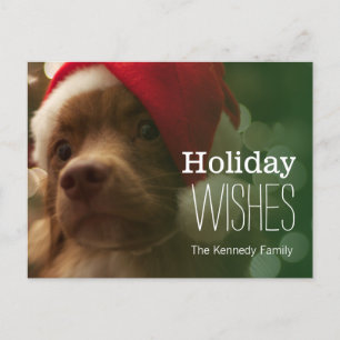 Postal Festiva cachorro sentado frente al bokeh del árbol de navi