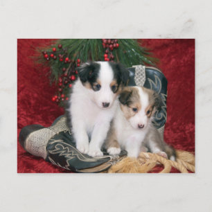 Postal Festiva Cachorros de perro pastelero de Shetland