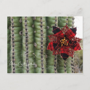 Postal Festiva Cactus