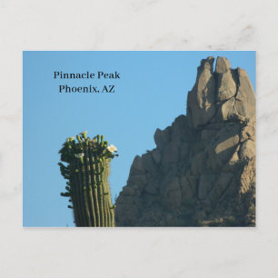 Postal Festiva Cactus máximo del alza de Phoenix AZ del pináculo