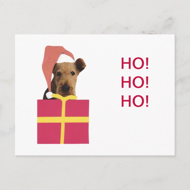 Postal Festiva Caja de regalo del gorra de Airedale Terrier Santa (Anverso)