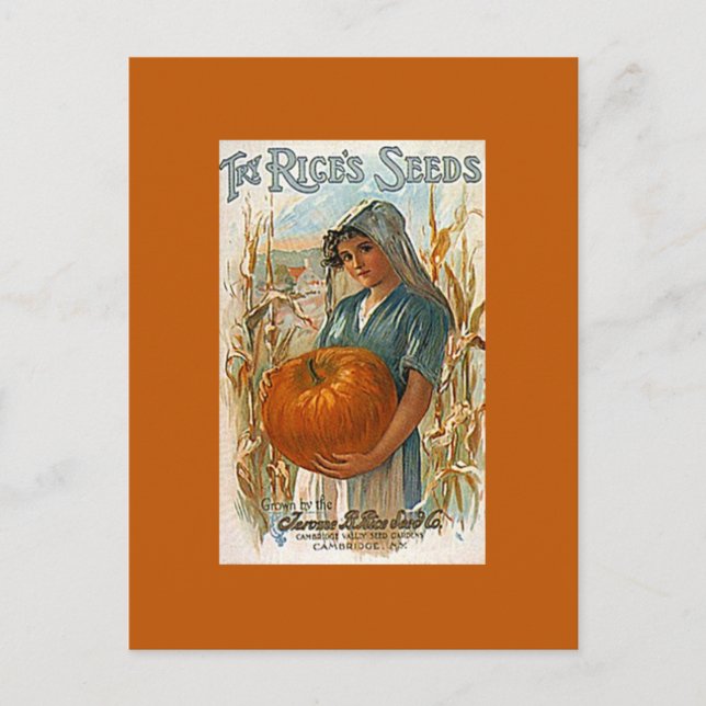 Postal Festiva Calabaza de la Calabaza del Jardín del Antiguo Arr (Anverso)