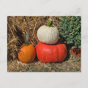 Postal Festiva Calabazas de otoño