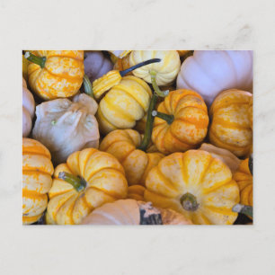 Postal Festiva Calabazas y calabazas otoñales