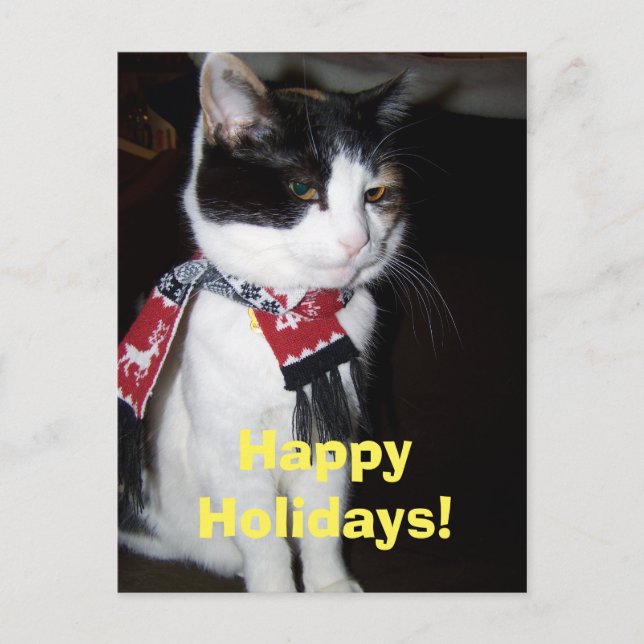 Postal Festiva Calico Cat Vosando Carne Happy Halidays Postcard (Anverso)