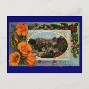 Postal Festiva California Poppy Vintage Christmas