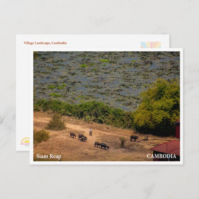 Postal Festiva Cambodian Village Landscape Postcard (Anverso / Reverso)