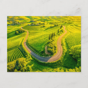 Postal Festiva Caminos sinuosos a través de viñedos y cipreses