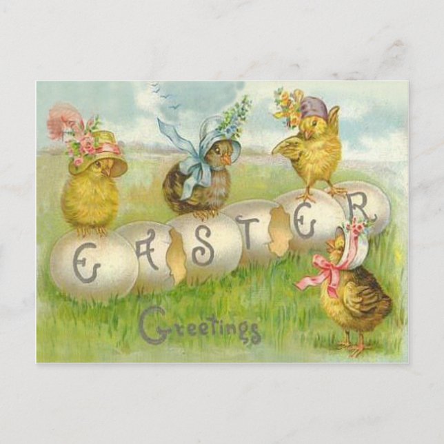 Postal Festiva Campo de pollo de Huevo de Pascua (Anverso)