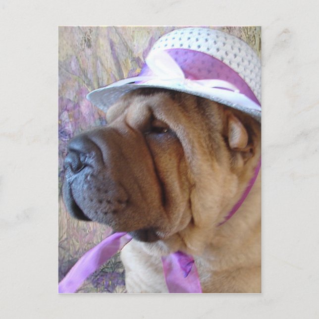 Postal Festiva Capo de Pascua (Anverso)