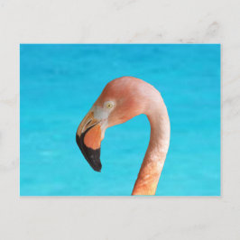 Postal Festiva Cara de flamingo rosa contra agua azul en