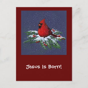 POSTAL FESTIVA CARDENAL DEL NAVIDAD: PÁJARO: ARTE: NIEVE