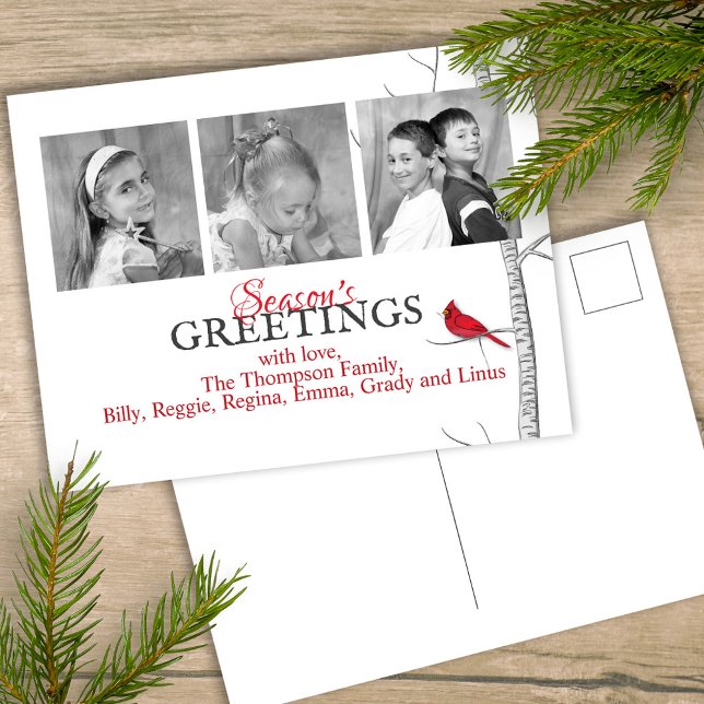 Postal Festiva Cardenal rojo Navidades de vacaciones Woodland 3 F (Simple winter botanical red cardinal postcard with a minimalist design.)