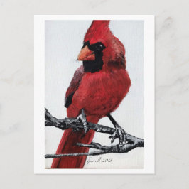 Postal Festiva Cardenal septentrional