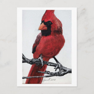Postal Festiva Cardenal septentrional