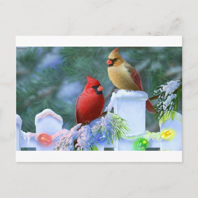 Postal Festiva Cardenales y Navidades Luces (Anverso)