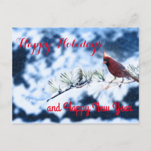 Postal Festiva Cardinal Bird Snowowy Branch Post Card