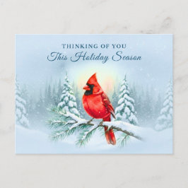 Postal Festiva Cardinal Bird Sympathy Condolence Christmas Winter