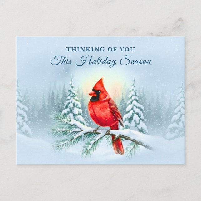 Postal Festiva Cardinal Bird Sympathy Condolence Christmas Winter (Anverso)