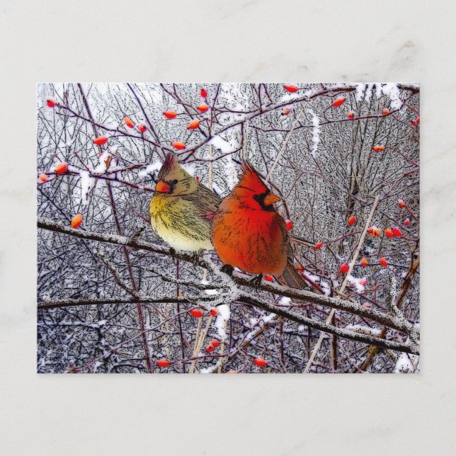 Postal Festiva Cardinal Christmas Postcard (Anverso)